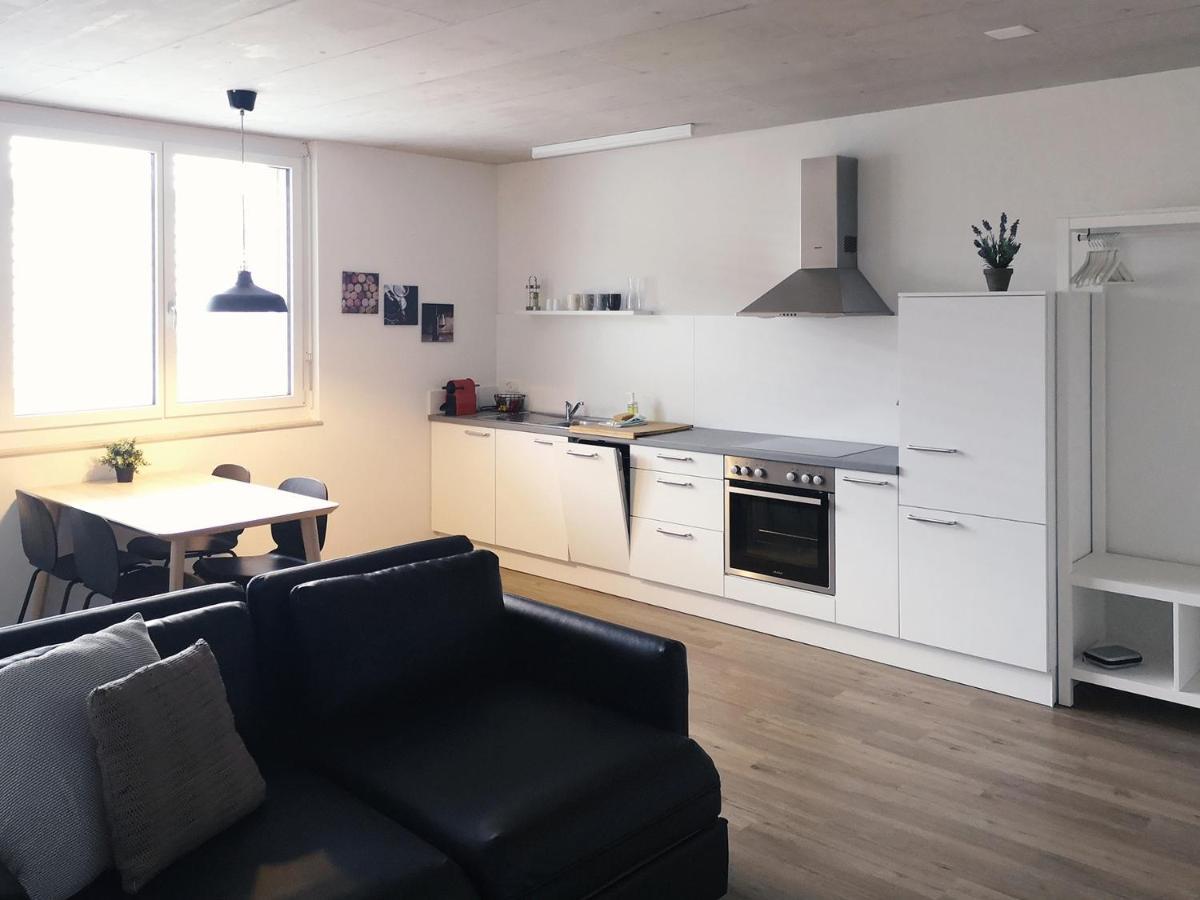 Atrium Apartments Schaffhausen Ngoại thất bức ảnh