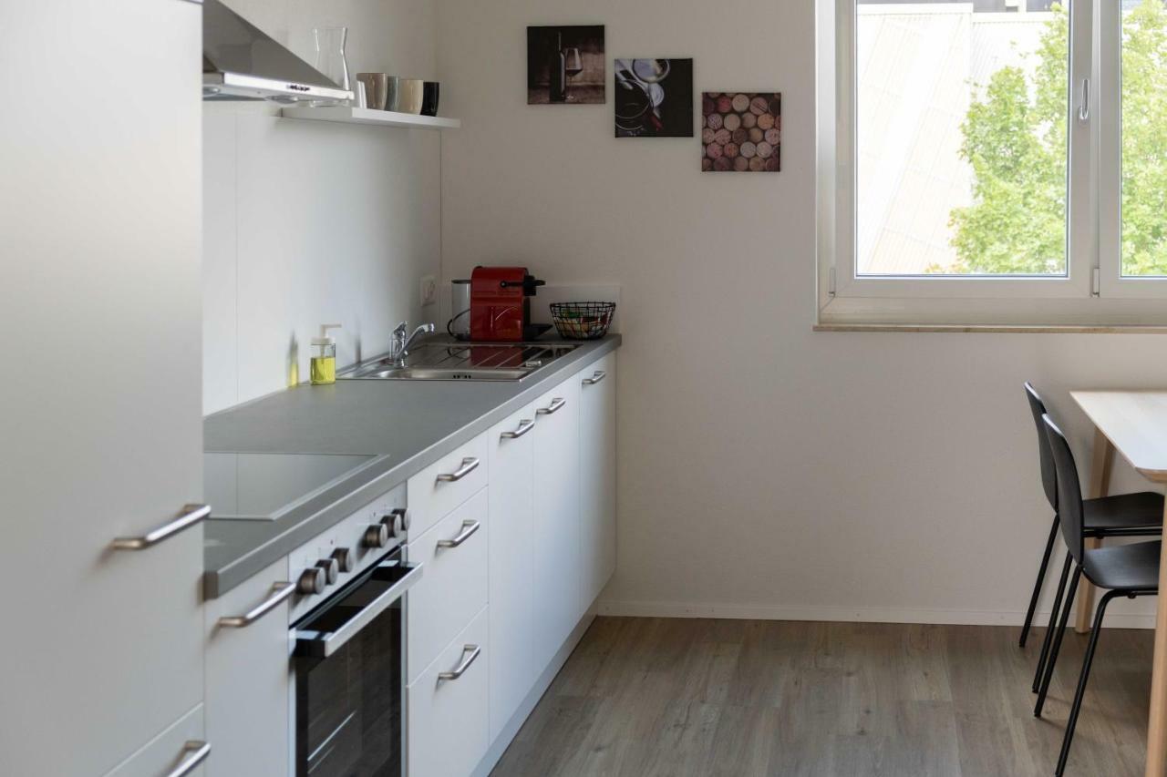 Atrium Apartments Schaffhausen Ngoại thất bức ảnh